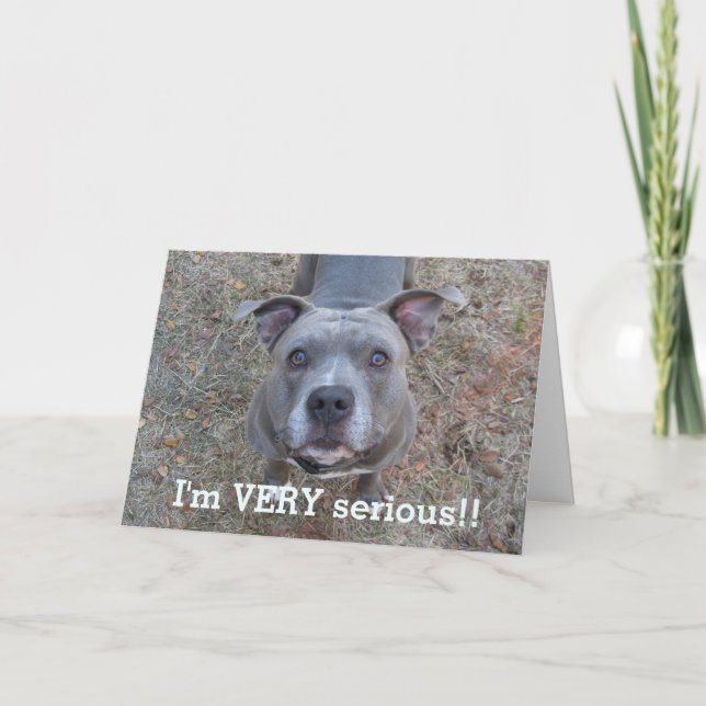 Carte Pitbull I'm Serious Fête des pères Card (Devant)
