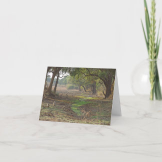 Carte Pittoresque Zambie Woodland