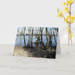 Carte Places perdues, Arbres sur la rive de la rivière
