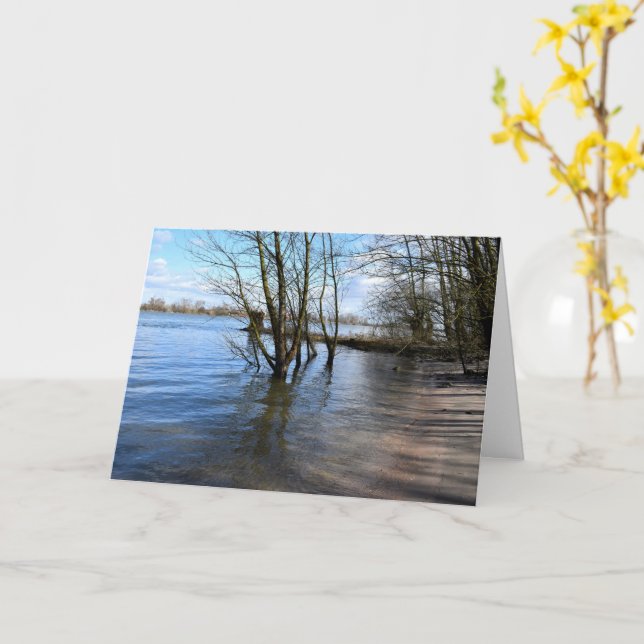 Carte Places perdues, Arbres sur la rive de la rivière (Fleur jaune)