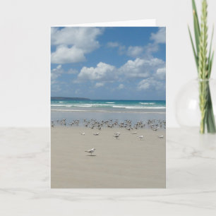Carte Plage avec mouettes