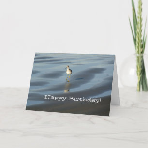 Carte Plage Bird Joyeux Anniversaire 1