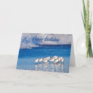 Carte Plage Birds Joyeux Anniversaire