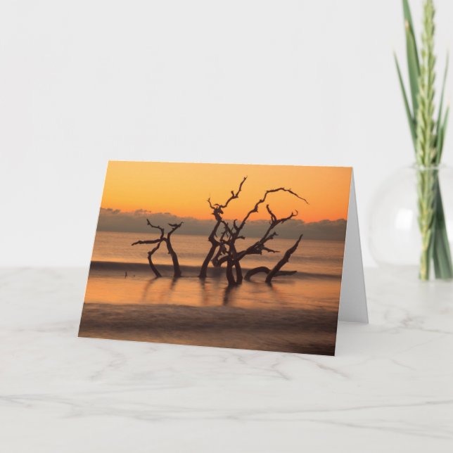 Carte Plage de Driftwood à Sunrise Jekyll Island Georgia (Devant)