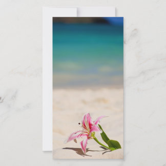 Carte Plage Lily
