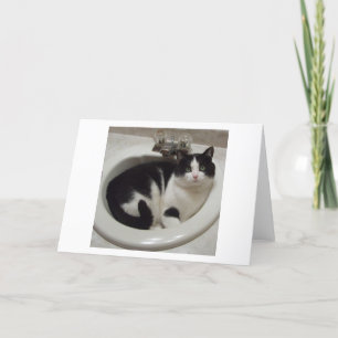 Carte Plaisir d'amoureux de les chats