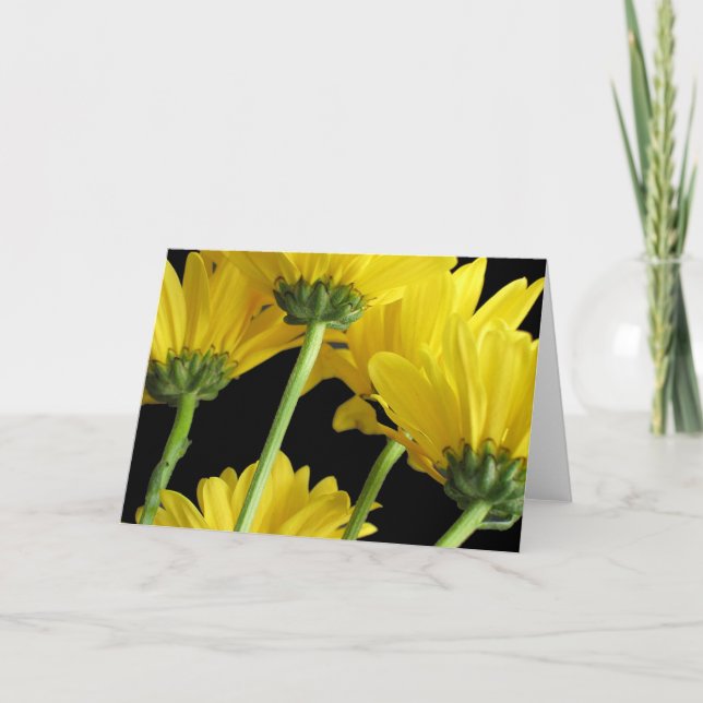 Carte Plan rapproché de marguerites (Devant)