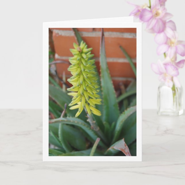 Carte Plante Aloe Vera avec tête de fleur (Orchidée)