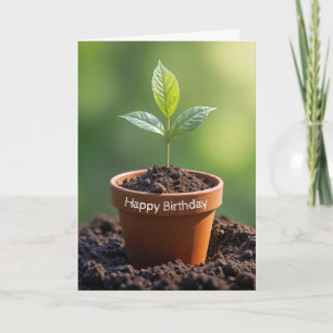 Carte Plante Anniversaire En Terracotta Pot