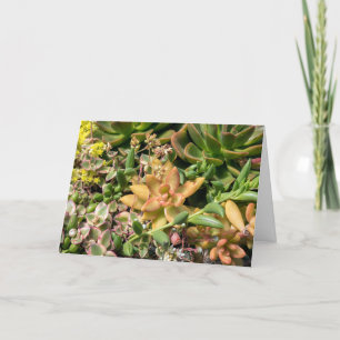 Carte plante coloré et succulent