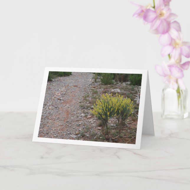 Carte Plante Fabale, Anthyllis Cytisoides (Orchidée)