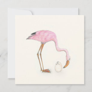 carte plat Flamant rose