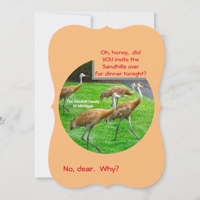 Carte PLAT SANDHILL CRANE FAMILLE/CARTE DE REMERCI (Devant)