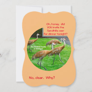 Carte PLAT SANDHILL CRANE FAMILLE/CARTE DE REMERCI