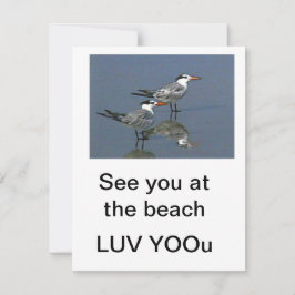 Carte Plat Voir à la plage Gibney Le Musée