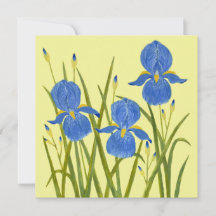 Carte plate avec fleurs d'iris bleus