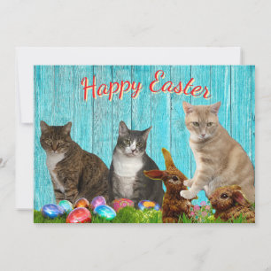 Carte plate de Pâques - Chats et Lapins