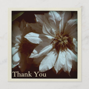 Carte plate florale du Merci S de photographie de