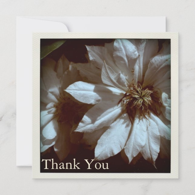 Carte plate florale du Merci S de photographie de (Devant)