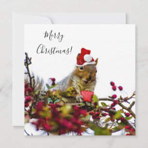 Carte plate Joyeux Noël écureuil