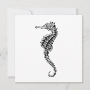 CARTE PLATE VIE MARINE SEAHORSE