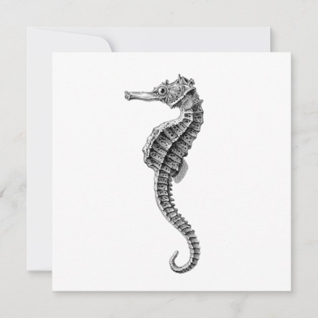CARTE PLATE VIE MARINE SEAHORSE (Devant)