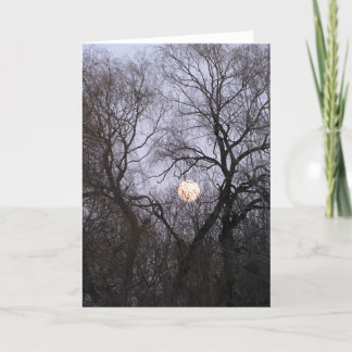 Carte Pleine lune dans les arbres dénudés photo