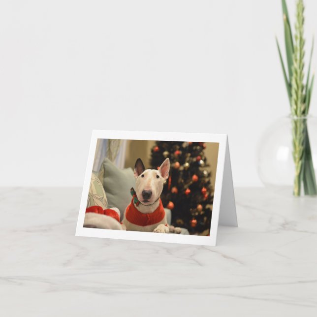 Carte pliable de Noël avec Bull Terrier et nœud pa (Devant)