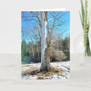 Carte pliée 5 pouces x 7 pouces Cottonwood enso