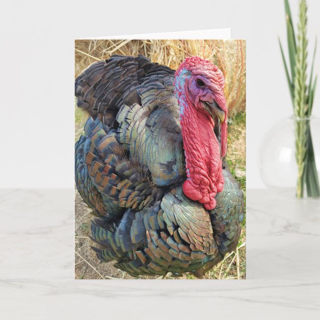 Carte pliée 5 pouces x 7 pouces || Thomas dans la  (Devant)