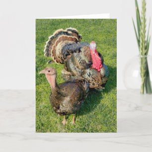 Carte pliée 5 pouces x 7 pouces    Thomas & Henrie