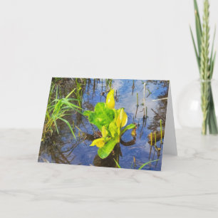 Carte pliée 7 po x 5 po   Chou de la peau