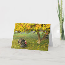 Carte pliée 7 pouces x 5 pouces || La Turquie sous