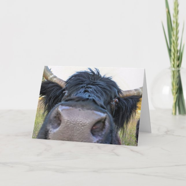 Carte pliée 7 pouces x 5 pouces || Vache à écorce  (Devant)