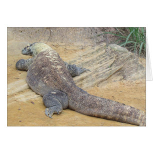 Carte pliée Komodo Dragon