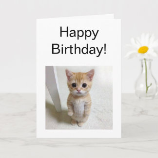 Carte pliée Mème de chat El Gato