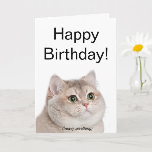 Carte pliée Mème de chat Respirant lourd