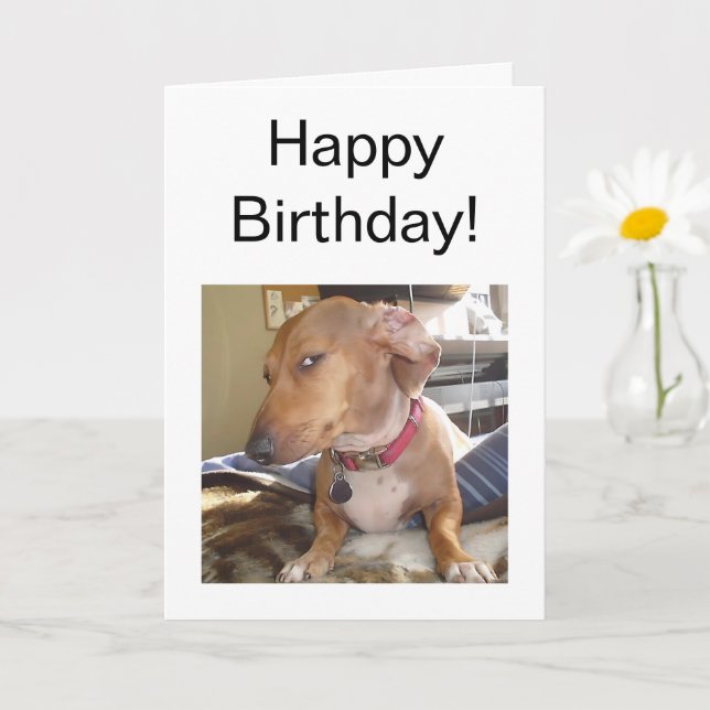 Carte pliée Mème de chien oeil côté oeil (Petite plante)