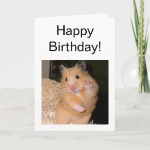 Carte pliée Mème Hamster de Paix