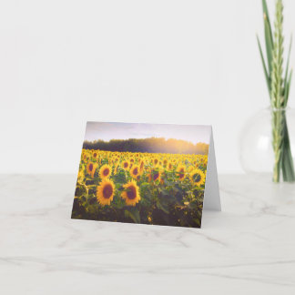 Carte pliée Merci de tournesol