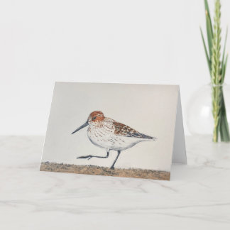 Carte pliée Sandpiper