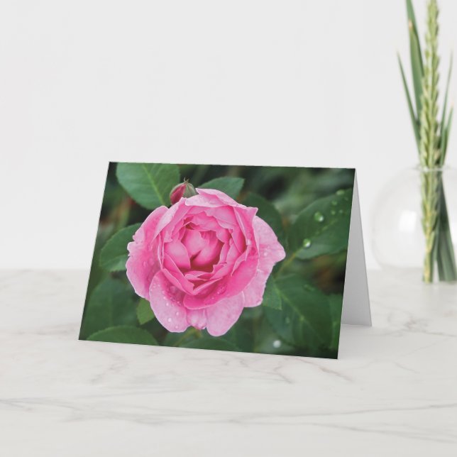 Carte Pludrops roses (Devant)