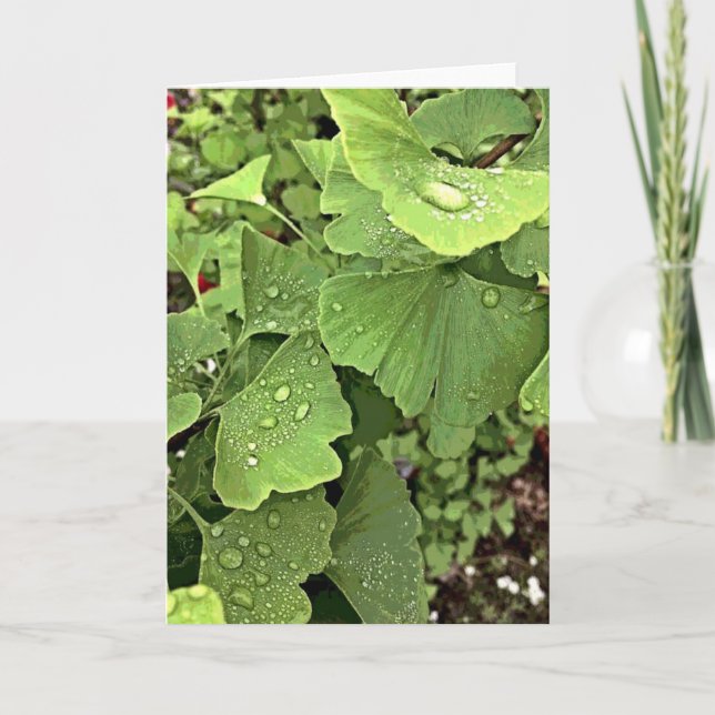 Carte Pluie sur le Gingko (Devant)