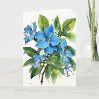 Carte Plumbago Auriculata - Watercolor flowers