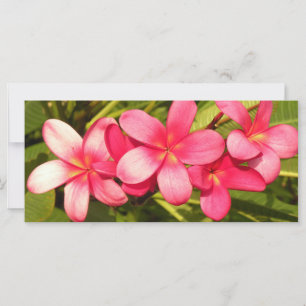 Carte Plumeria