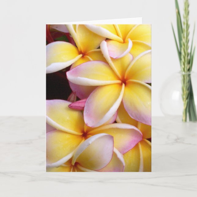 Carte Plumeria (Devant)