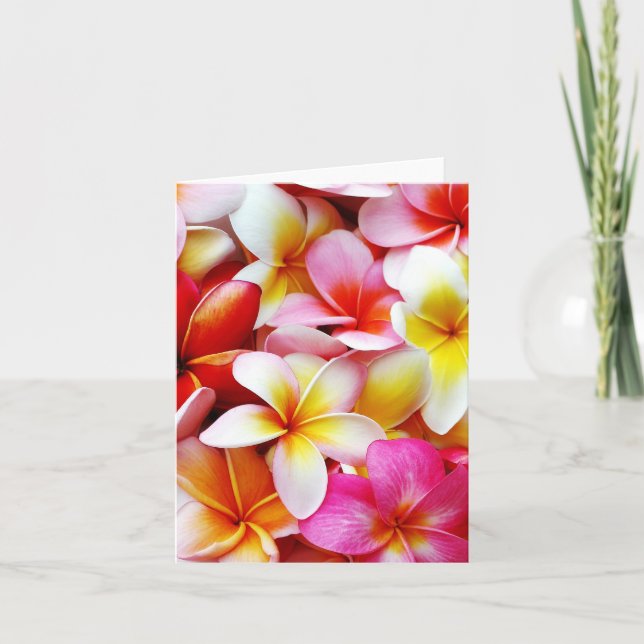 Carte Plumeria Frangipani Hawaii Fleur Customisée (Devant)