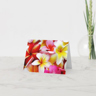 Carte Plumeria Frangipani Hawaii Fleur Hawaii Fleurs haw