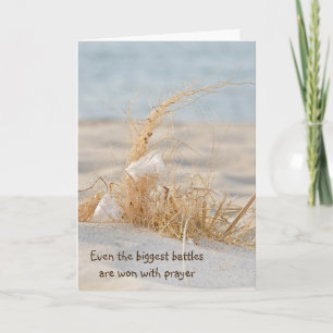 Carte Plumes Blanches En Herbe De Plage