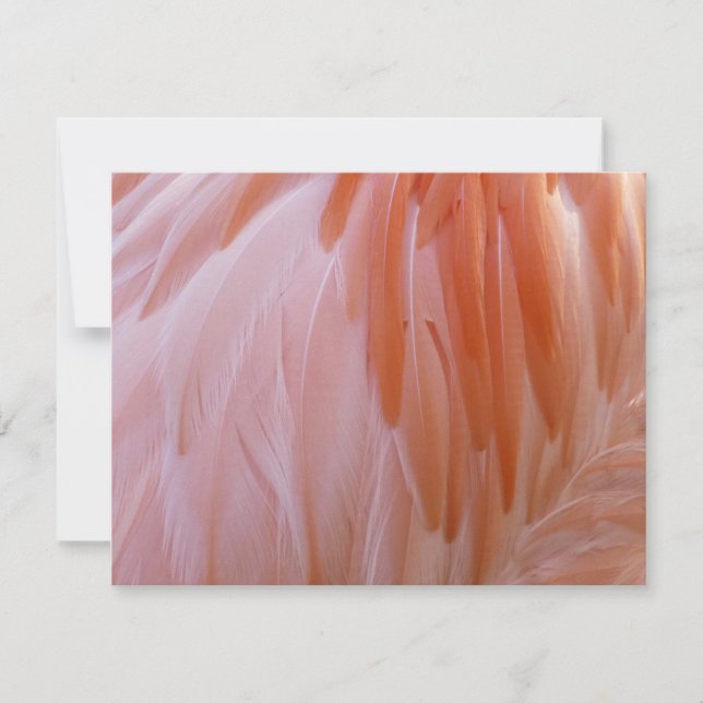 Carte Plumes de Flamant rose dans les tons roses (Devant)